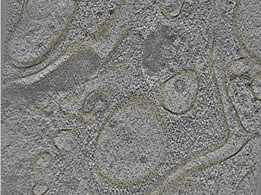 key visualization for 20221005_P3_ts_002