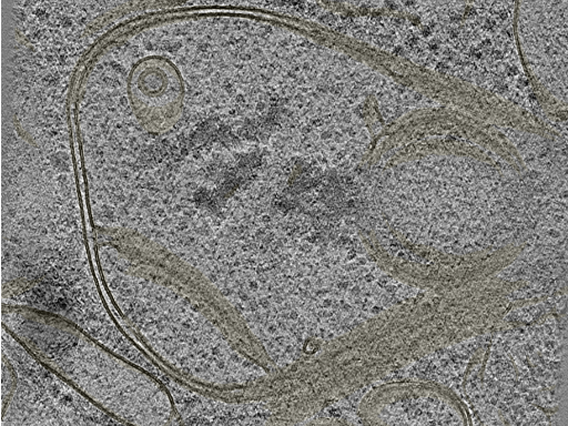 key visualization for 20221005_P3_ts_003