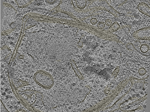 key visualization for 20221005_P3_ts_006