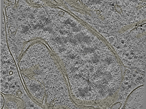 key visualization for 20221005_P4_ts_002