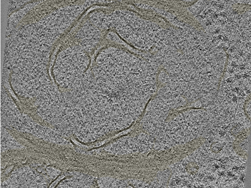 key visualization for 20230424_P4_ts_004