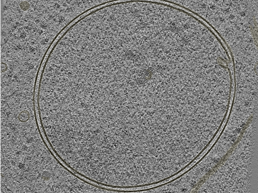 key visualization for 20230424_P4_ts_005