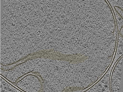 key visualization for 20230424_P5_ts_002