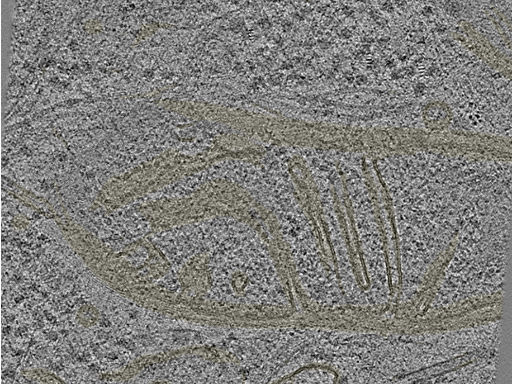 key visualization for 20230424_P5_ts_003