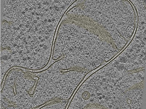 key visualization for 20230424_P5_ts_004