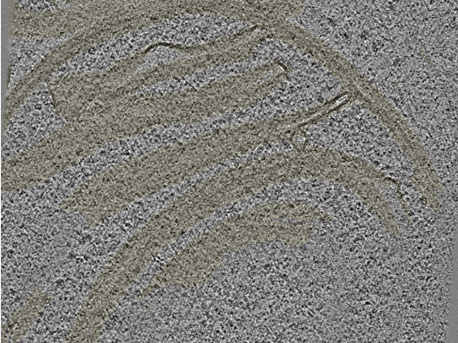 key visualization for 20230424_P6_ts_002