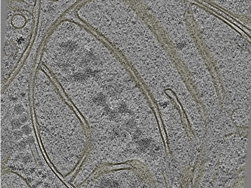 key visualization for 20230424_P6_ts_003