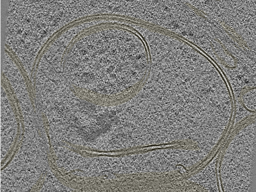 key visualization for 20230424_P7_ts_002