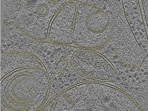 key visualization for 20230424_P7_ts_003