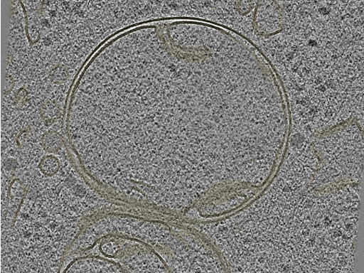 key visualization for 20230424_P8_ts_002