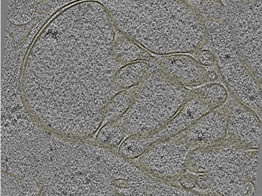 key visualization for 20230424_P8_ts_003