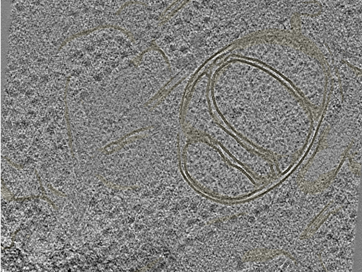 key visualization for 20230424_P9_ts_002