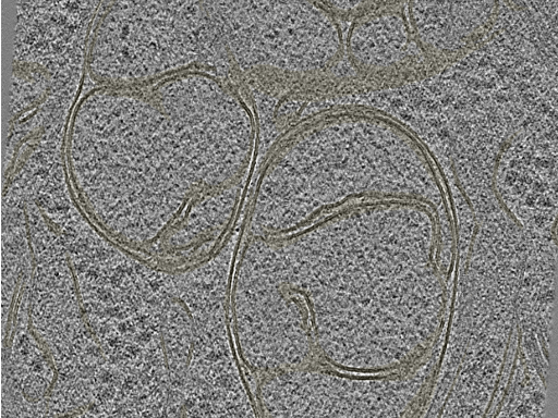 key visualization for 20230424_P9_ts_003