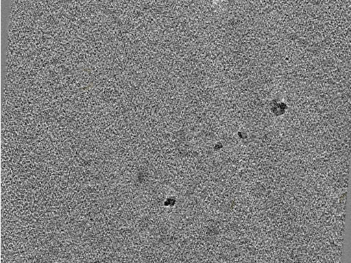 key visualization for 20220718_P10_ts_003