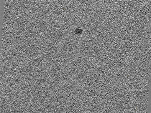 key visualization for 20220718_P10_ts_005