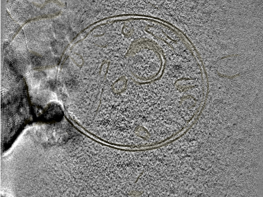 key visualization for 20220718_P12_ts_005