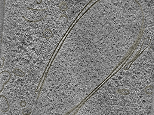 key visualization for 20220718_P12_ts_006