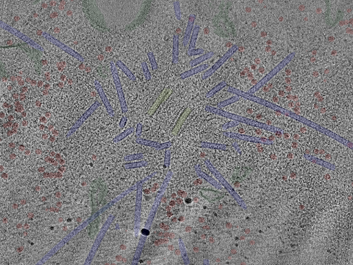 key visualization for cent10