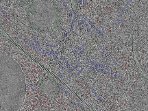 key visualization for cent12