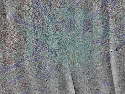 key visualization for cent8