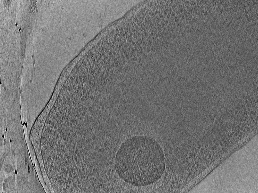 key visualization for sma2022-03-21-103