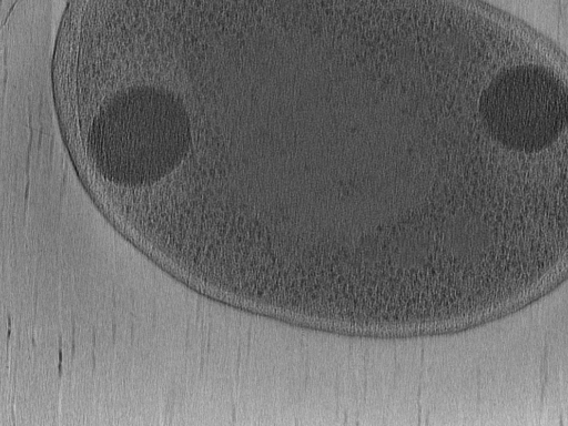 key visualization for Vibrio_pilT_pilU_100