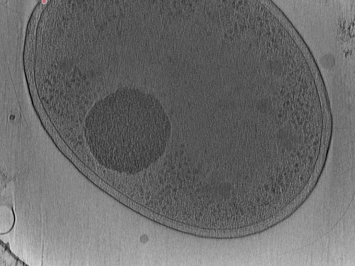 key visualization for Vibrio_pilT_pilU_101