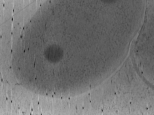 key visualization for Vibrio_pilT_pilU_110
