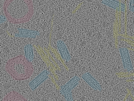 key visualization for sample_1