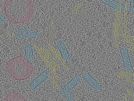 key visualization for sample_1