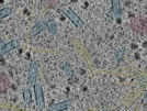 key visualization for sample_10