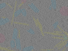 key visualization for sample_10
