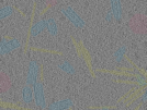 key visualization for sample_10
