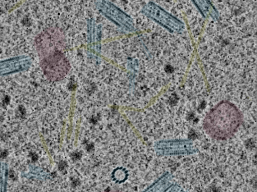 key visualization for sample_100