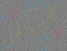 key visualization for sample_100