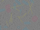 key visualization for sample_100
