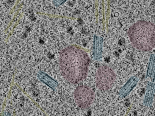 key visualization for sample_101