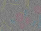 key visualization for sample_101
