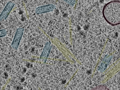 key visualization for sample_102