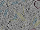 key visualization for sample_102