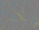 key visualization for sample_102