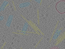 key visualization for sample_102