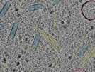 key visualization for sample_102