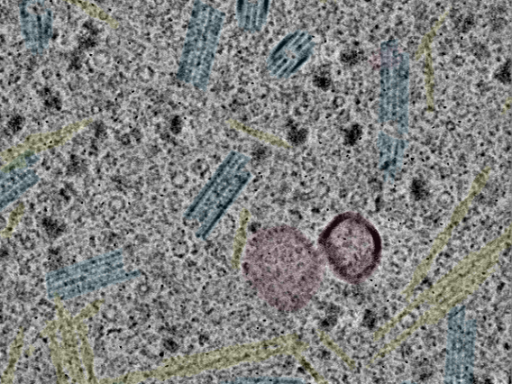 key visualization for sample_103