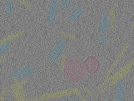 key visualization for sample_103