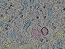 key visualization for sample_103