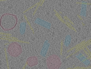 key visualization for sample_104