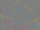 key visualization for sample_104