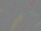 key visualization for sample_105