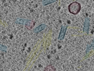key visualization for sample_105
